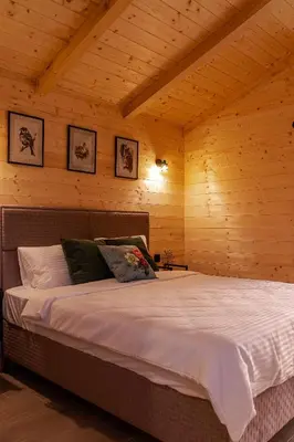 a bedroom with a large bed in a wooden room at Jelena in Balabani