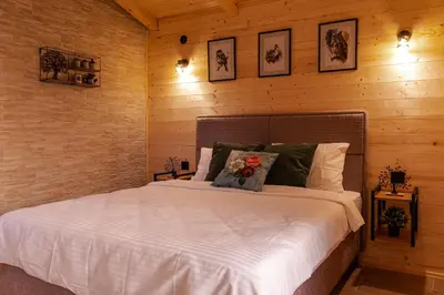 a bedroom with a bed in a wooden wall at Nina in Golubovci