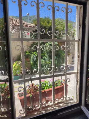 a window with a view of a garden at Radimir 101 in Kotor