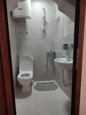 a small bathroom with a toilet and a sink at Radimir 101 in Kotor