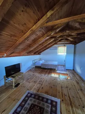 a living room with a couch and a tv on a wooden floor at Old Fisherman House, Skadar lake in Rogani