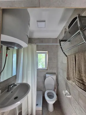 a small bathroom with a toilet and a sink at Old Fisherman House, Skadar lake in Rogani