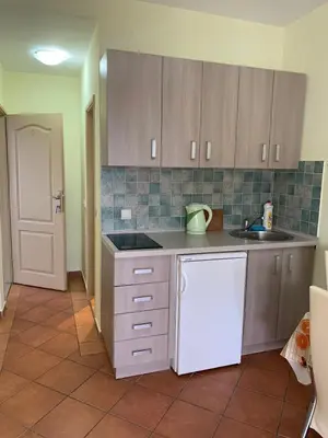 a kitchen with brown cabinets and a white dishwasher at Villa Nova in Budva