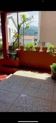 a room with potted plants on a window sill at Apart102 in Budva