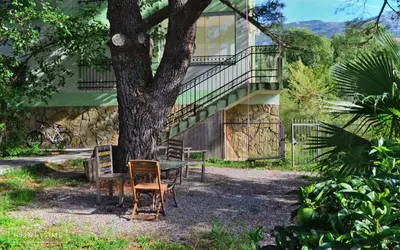 a table and chairs under a tree next to a building at Квартира - Солнце in Budva