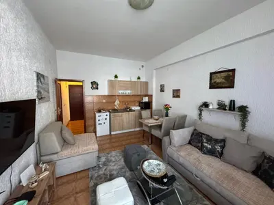 a living room with a couch and a kitchen at Apartman Lord in Sutomore