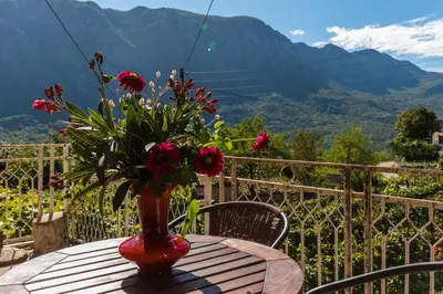 a vase of flowers sitting on a table with a view at Apartment Sjekloca in Virpazar