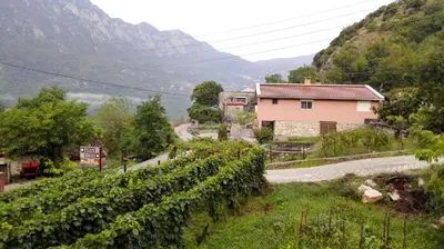 a vineyard with a house and a road next to a mountain at Apartment Sjekloca in Virpazar
