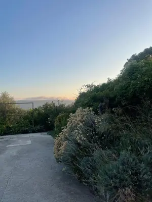 a parking lot with a bunch of bushes at Apartman Anastasija in Kotor