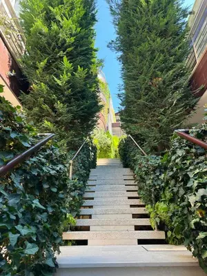 a set of stairs with trees and plants at Dukley Retreat, Serenity Collection in Budva