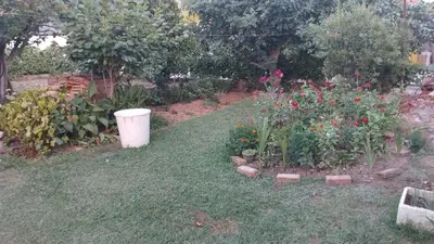 a garden with flowers and a trash can in the grass at Nada Apartman in Lastva