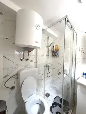 a white bathroom with a toilet and a shower at Nina apartman in Budva