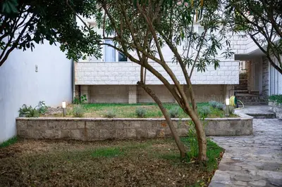 a tree in a yard next to a building at Vila PETICA in Tivat