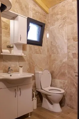 a bathroom with a toilet and a sink and a window at Rural stay Miranovic in Balabani