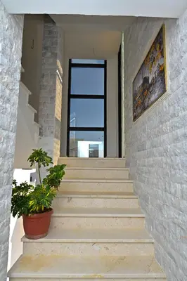a staircase with two potted plants and a window at Stay at Jimi Ulcinj in Ulcinj