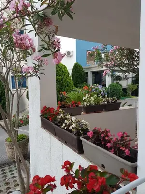 a bunch of flowers in pots on a wall at Apartment Aleksic Becici in Becici