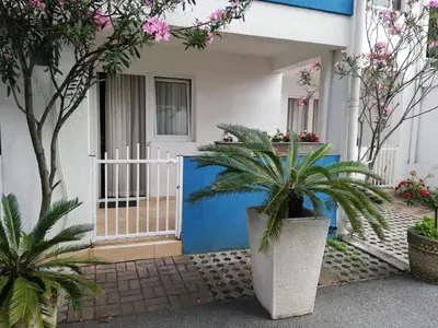 a house with two palm trees in front of a blue door at Apartment Aleksic Becici in Becici
