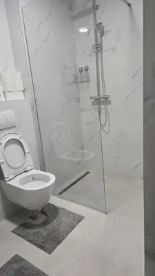a white bathroom with a shower and a toilet at Monika Dream Apartment in Budva