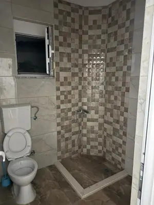 a bathroom with a toilet and a shower at Bregvija Apartments in Donji Štoj