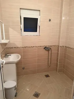a bathroom with a shower and a sink and a toilet at Bregvija Apartments in Donji Štoj