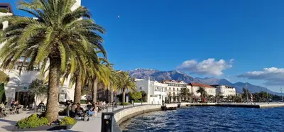 a street with palm trees and buildings and a body of water at Penthouse Traumblick Bečići in Budva