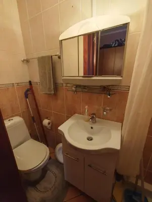 a bathroom with a toilet and a sink and a mirror at Njaro Del Mar 14 in Petrovac na Moru