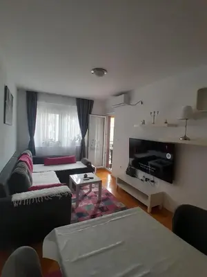 a living room with a couch and a tv at Apartman Ana in Budva