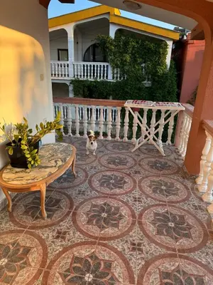 a cat sitting on a rug on a patio at Apartments Sava in Dobra Voda