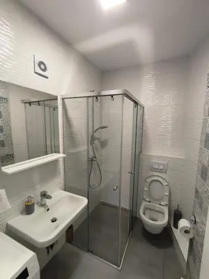 a bathroom with a shower and a sink and a toilet at Sea view Chiron in Budva