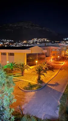 a building with palm trees in front of it at night at Comfort in Bar