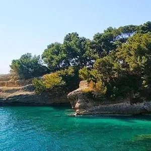 a group of trees on top of a body of water at Cama Apartmani in Donji Štoj