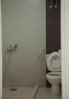 a bathroom with a shower and a toilet at Apartment Nimes in Ulcinj