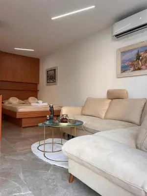 a living room with a couch and a table at Apartmani Vanity Budva in Budva