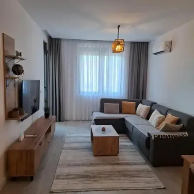 Violin Apartment