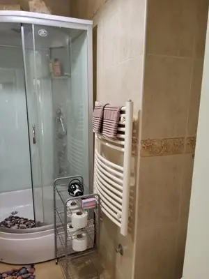 a bathroom with a shower and a toilet and a towel rack at Glorious in Kotor