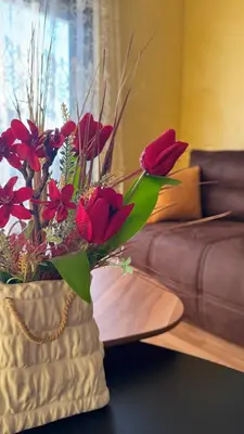 a vase filled with red flowers in a living room at Harmony Apartment 2 in Bar