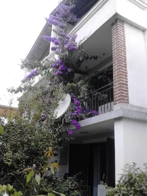 a white building with purple flowers on a balcony at Villa DUDA rooms in Velika Plaža