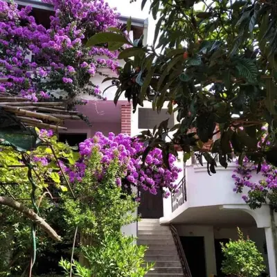 a building with purple flowers on the side of it at Villa DUDA rooms in Velika Plaža