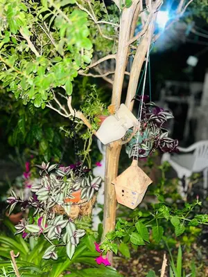 a bunch of plants hanging from a wooden pole at Villa DUDA rooms in Velika Plaža
