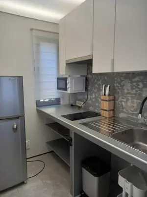 a kitchen with a sink and a counter top at Markovići Studio