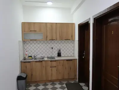 a kitchen with a sink and wooden cabinets at Apartmani Krnić in Tuzi