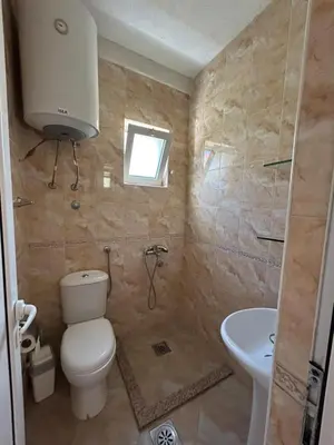 a bathroom with a toilet and a sink at Aparments Gjeloshi in Donji Štoj
