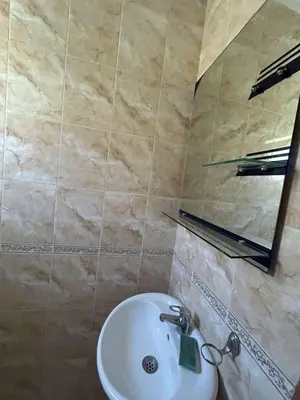 a bathroom with a sink and a mirror at Aparments Gjeloshi in Donji Štoj