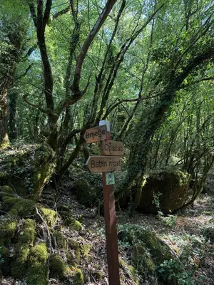 a wooden sign on a trail in the woods at ORAHOVSTICA TRAIL - Glamping in Dupilo