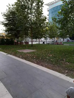 a sidewalk next to a park with trees and a building at Apartman Mina in Podgorica