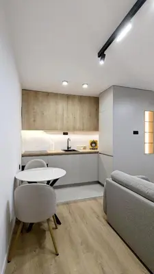 a kitchen and a living room with a table and a couch at Cozy apartment in Podgorica in Podgorica