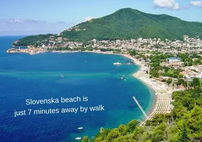 a view of a beach with a city and the ocean at Apartment Golub in Budva