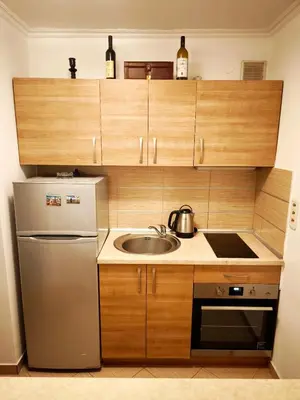 a small kitchen with a sink and a refrigerator at Apartment Golub in Budva