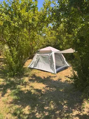 a tent sitting in a field next to trees at Greenfield campsite in Donji Štoj