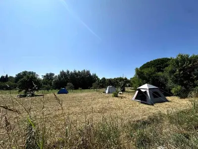 a group of tents in a field with trees at Greenfield campsite in Donji Štoj
